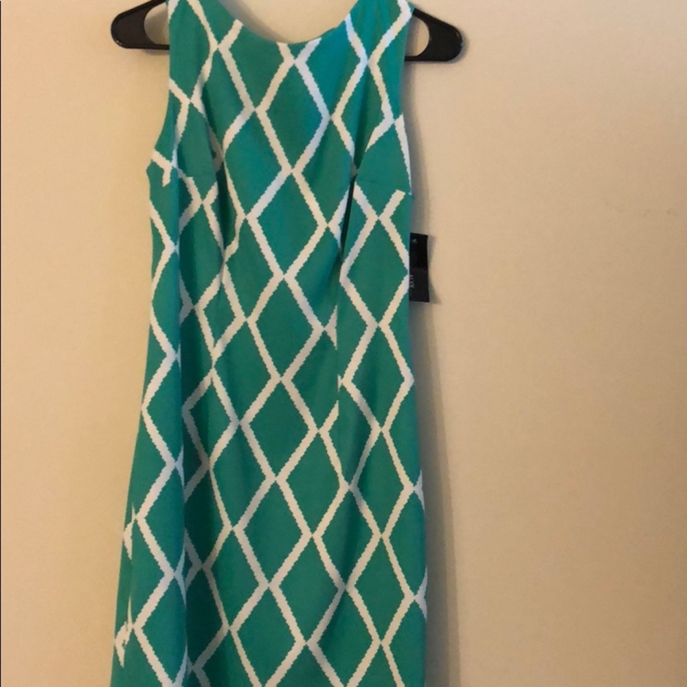 Alyx Dress Collection Green and White Dress Size10